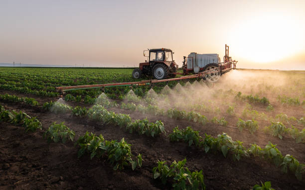 Best Pest Control for Restaurants  in Senath, MO