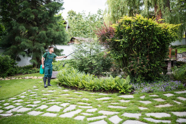 Best Wasp Removal Services  in Senath, MO