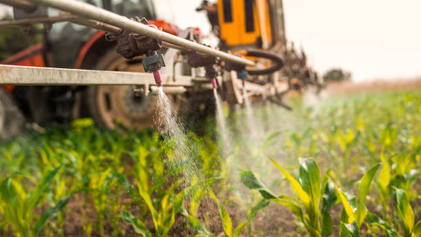 Best Wildlife Control Services  in Senath, MO